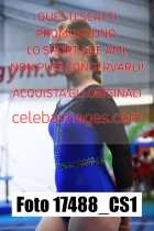 17488_CS1-