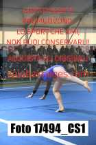 17494_CS1-
