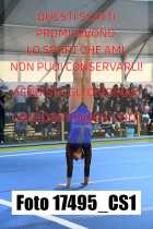 17495_CS1-