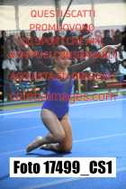 17499_CS1-