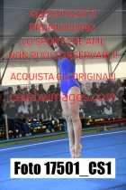 17501_CS1-