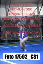 17502_CS1-
