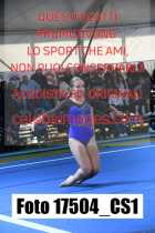 17504_CS1-