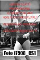 17508_CS1-