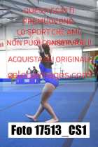 17513_CS1-