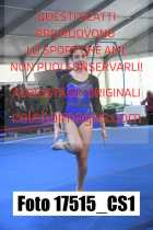 17515_CS1-