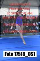 17518_CS1-