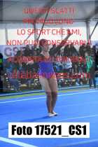 17521_CS1-