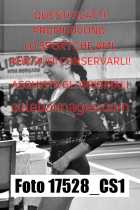 17528_CS1-