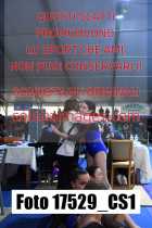 17529_CS1-