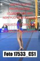 17533_CS1-