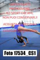 17534_CS1-