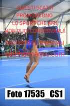 17535_CS1-