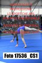 17536_CS1-