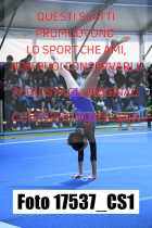 17537_CS1-