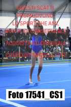 17541_CS1-