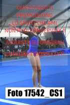 17542_CS1-