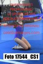 17544_CS1-