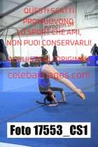17553_CS1-