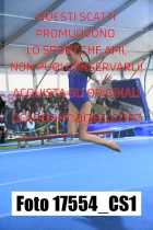 17554_CS1-