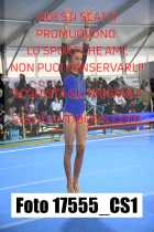 17555_CS1-