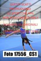 17556_CS1-