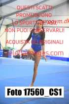 17560_CS1-