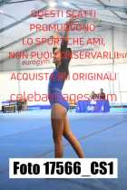 17566_CS1-