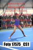 17575_CS1-