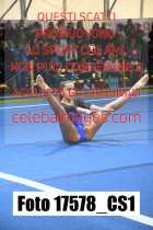 17578_CS1-