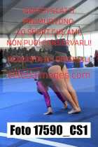 17590_CS1-