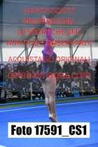 17591_CS1-