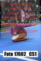 17602_CS1-