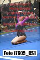 17605_CS1-