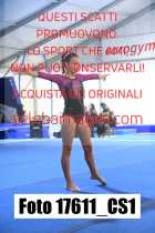 17611_CS1-