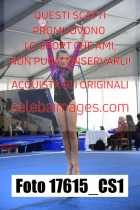 17615_CS1-