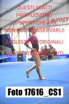 17616_CS1-