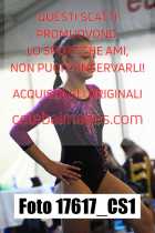 17617_CS1-