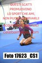 17623_CS1-