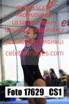 17629_CS1-