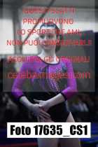17635_CS1-