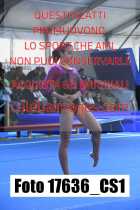 17636_CS1-