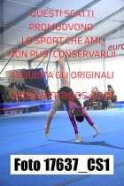 17637_CS1-