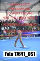 17641_CS1-
