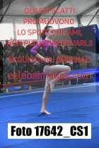 17642_CS1-