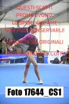 17644_CS1-