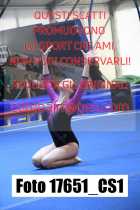 17651_CS1-