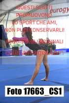 17663_CS1-