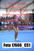17666_CS1-