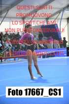 17667_CS1-